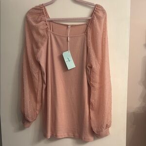 Chic Blush Sheer Sleeve Blouse